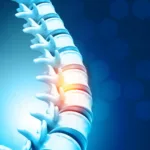 Human spine, vertebrae anatomy on science background. 3d illustration